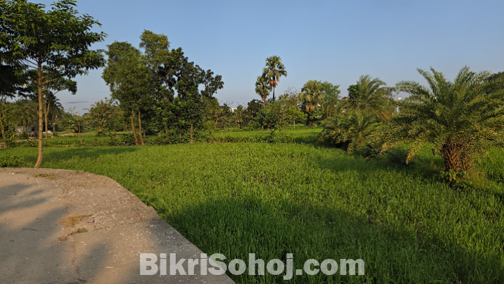 টঙ্গীর গাছায় ৪ বিঘা  জমি ভাড়া হবে